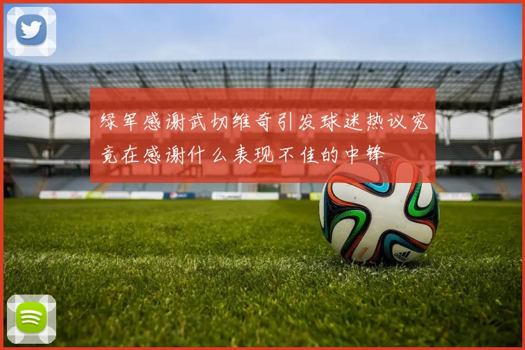 绿军感谢武切维奇引发球迷热议究竟在感谢什么表现不佳的中锋